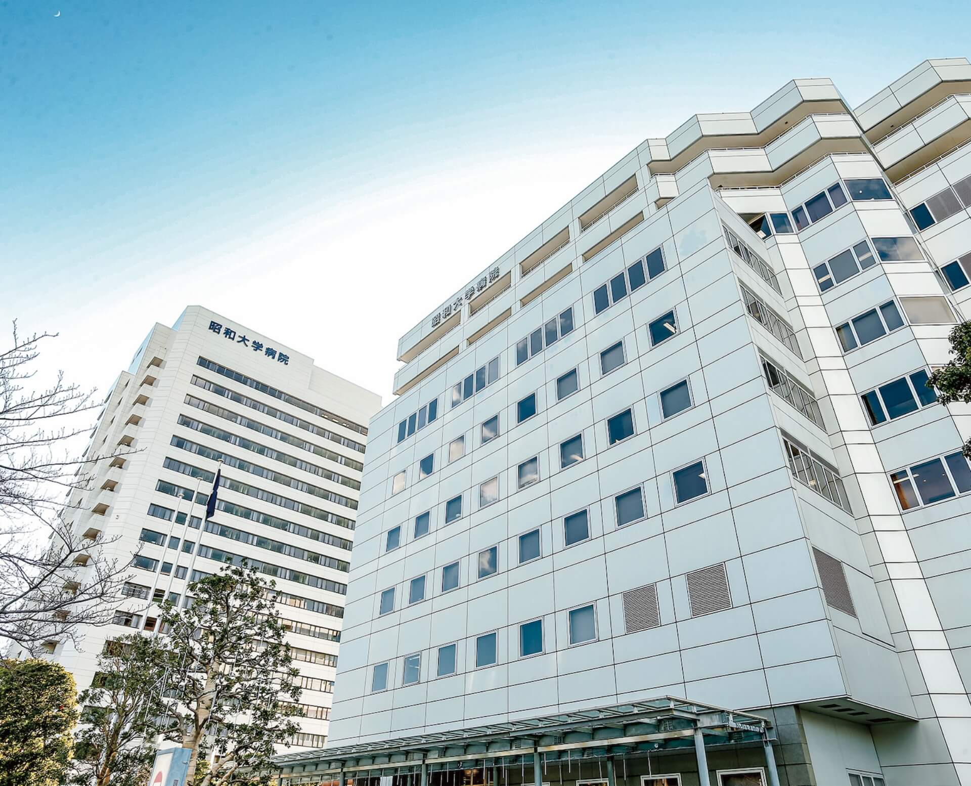 昭和大学附属病院の特徴